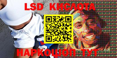 прущие крисы Камышлов