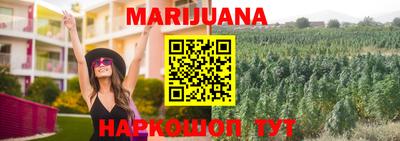 спиды Канаш
