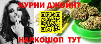 прущие крисы Камышлов