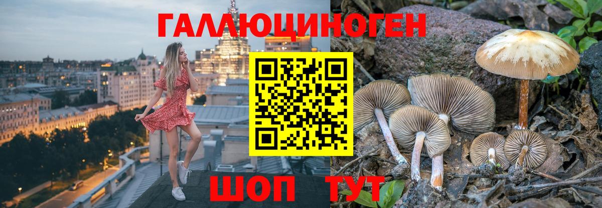 где можно купить   Галлюциногенные грибы мицелий  Вход с VPN  Галлюциногенные грибы MAGIC MUSHROOMS  Геленджик 